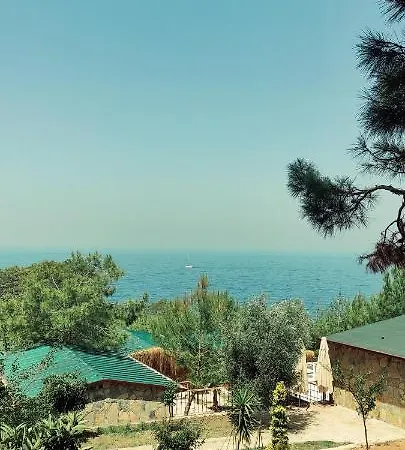 Rocas Roja Beach Campingplads *