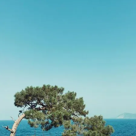 Rocas Roja Beach * Faralya