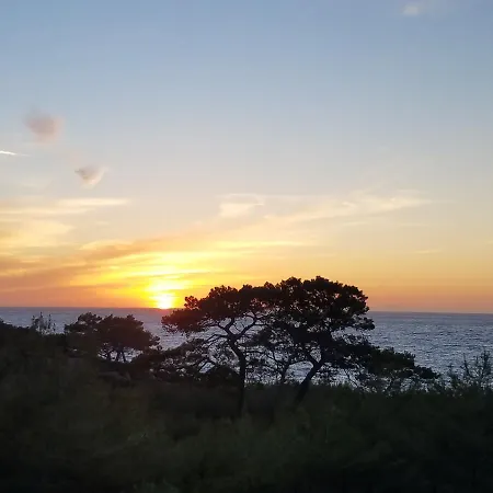 Rocas Roja Beach Campingplads *